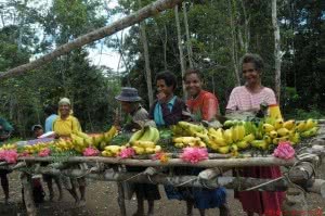 Kokoda Trek 7 July 2008 170