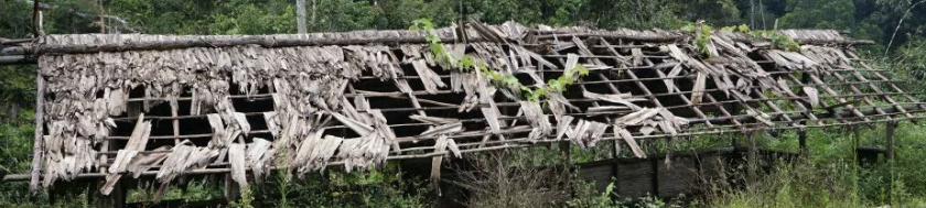 The Kokoda Trail: Chronology of Mismanagement: 2009-2019