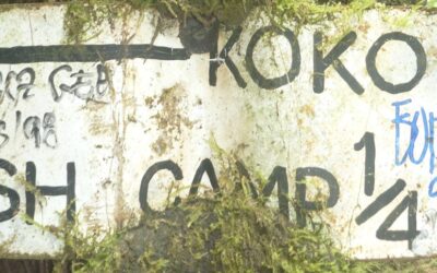 Chronology of Pilgrimage Tourism Mismanagement across the Kokoda Trail