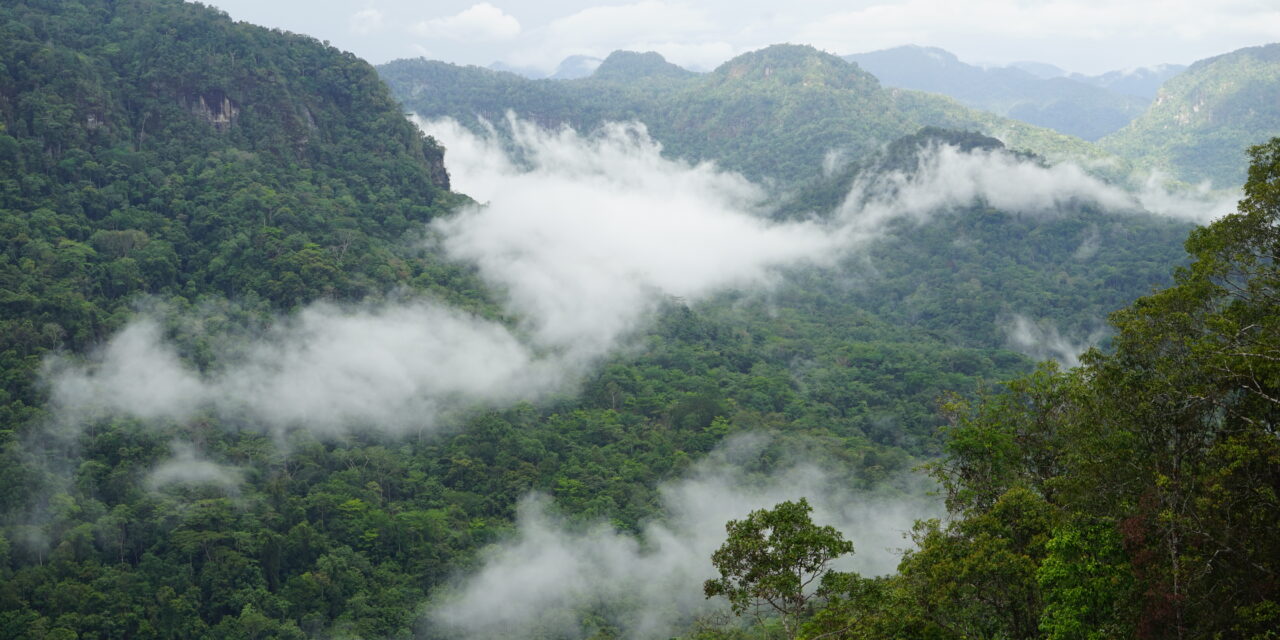 Adventure Kokoda Submissions Re Kokoda: 1998-2006