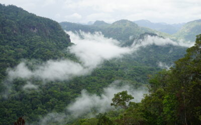 Adventure Kokoda Submissions Re Kokoda: 1998-2006