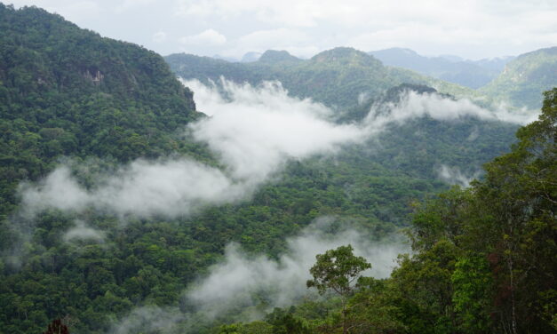 Adventure Kokoda Submissions Re Kokoda: 1998-2006