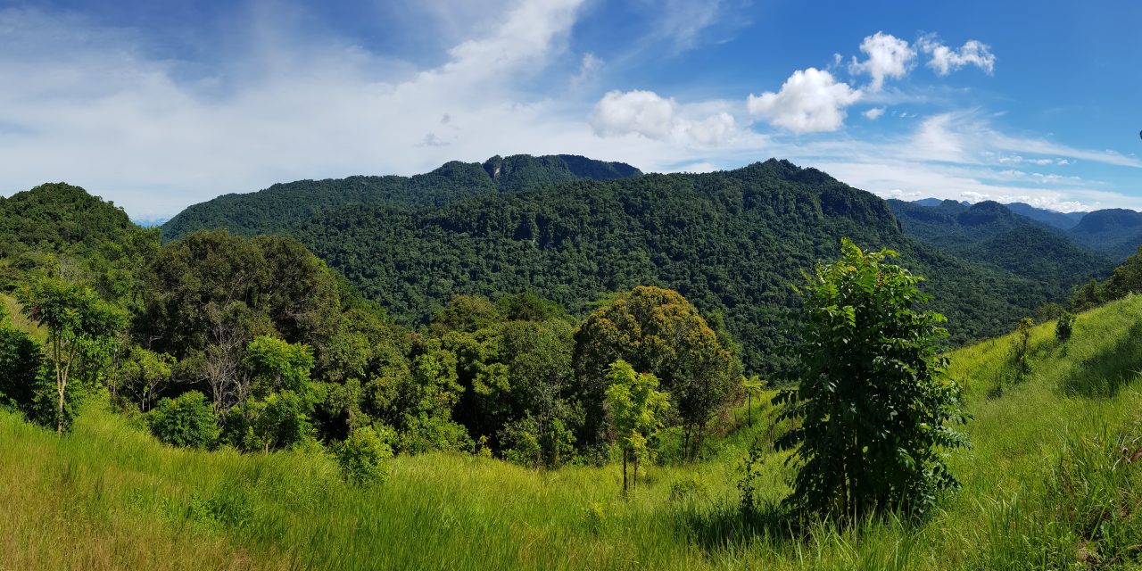 Papua New Guinea: A place of pilgrimage