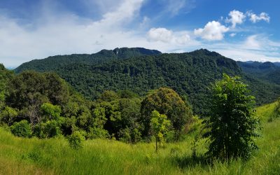 Papua New Guinea: A place of pilgrimage