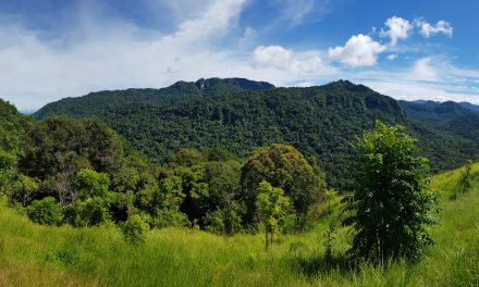 Papua New Guinea: A place of pilgrimage