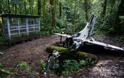 Government desecration of Kokoda battlesite condemned