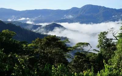 Kokoda Trail