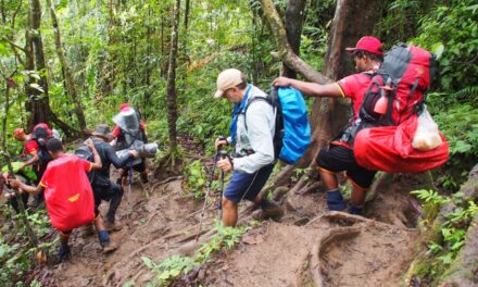Kokoda – Should you hire a Personal Carrier?