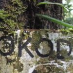 The Kokoda Trail – 10 Essential Facts