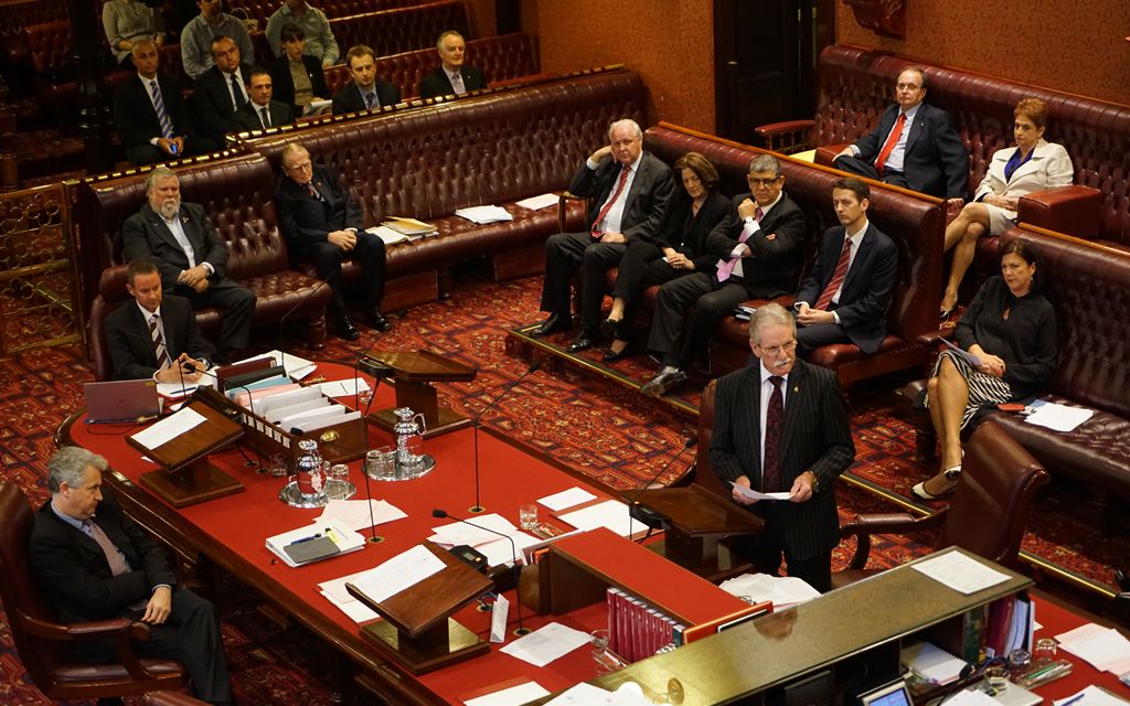 My Parliamentary Days