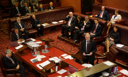 My Parliamentary Days