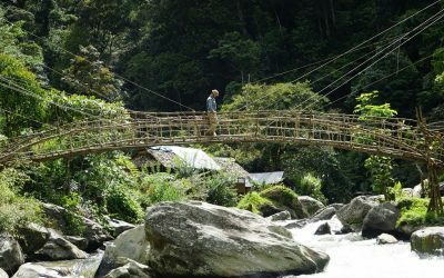 Kokoda Trail Bridges: Prefabricated or Traditional?