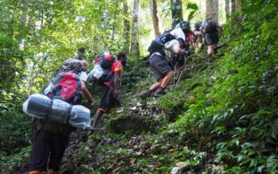 Training for Kokoda