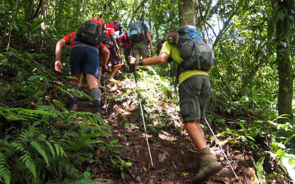Using Trekking Poles on the Kokoda Trail