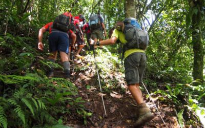 Using Trekking Poles on the Kokoda Trail