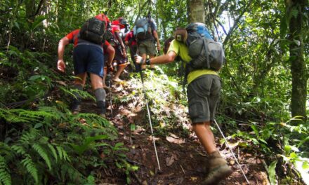 Using Trekking Poles on the Kokoda Trail