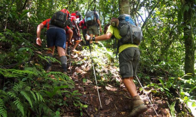 Using Trekking Poles on the Kokoda Trail